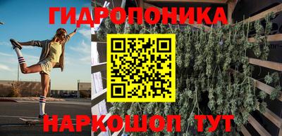 гашик Бузулук