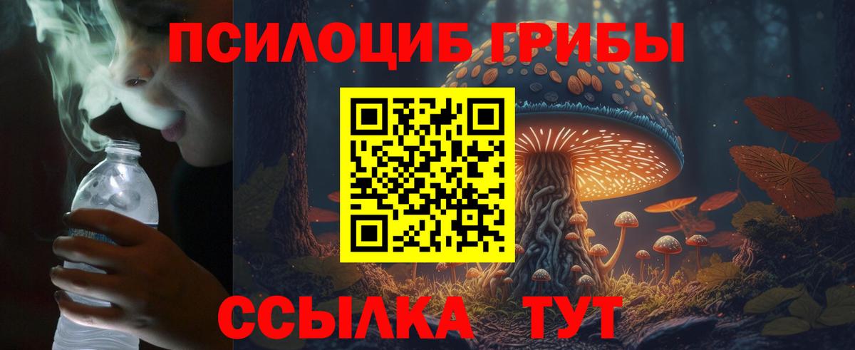 Галлюциногенные грибы прущие грибы  Галлюциногенные грибы MAGIC MUSHROOMS  где можно купить наркотик  Вход с VPN  Ревда 